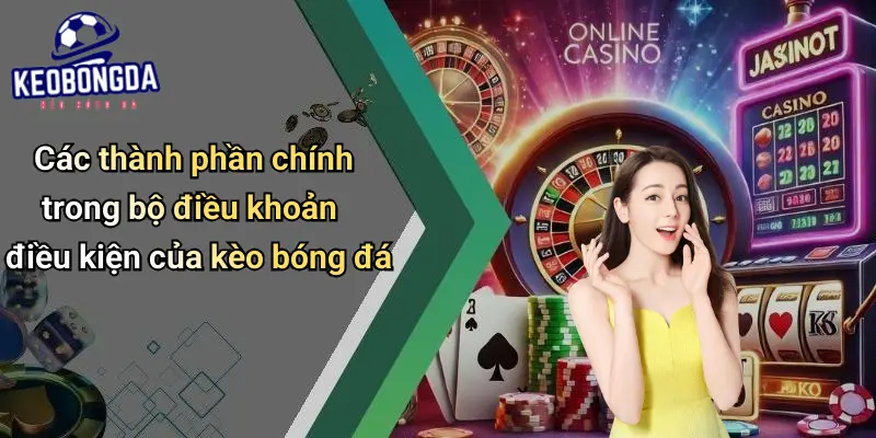 Điều Khoản Điều Kiện