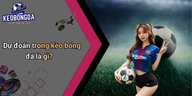 Dự Đoán 1 Dự Đoán