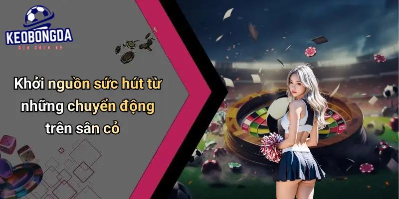Tin Tức Bóng Đá