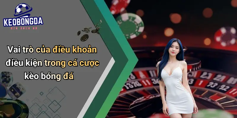 Điều Khoản Điều Kiện