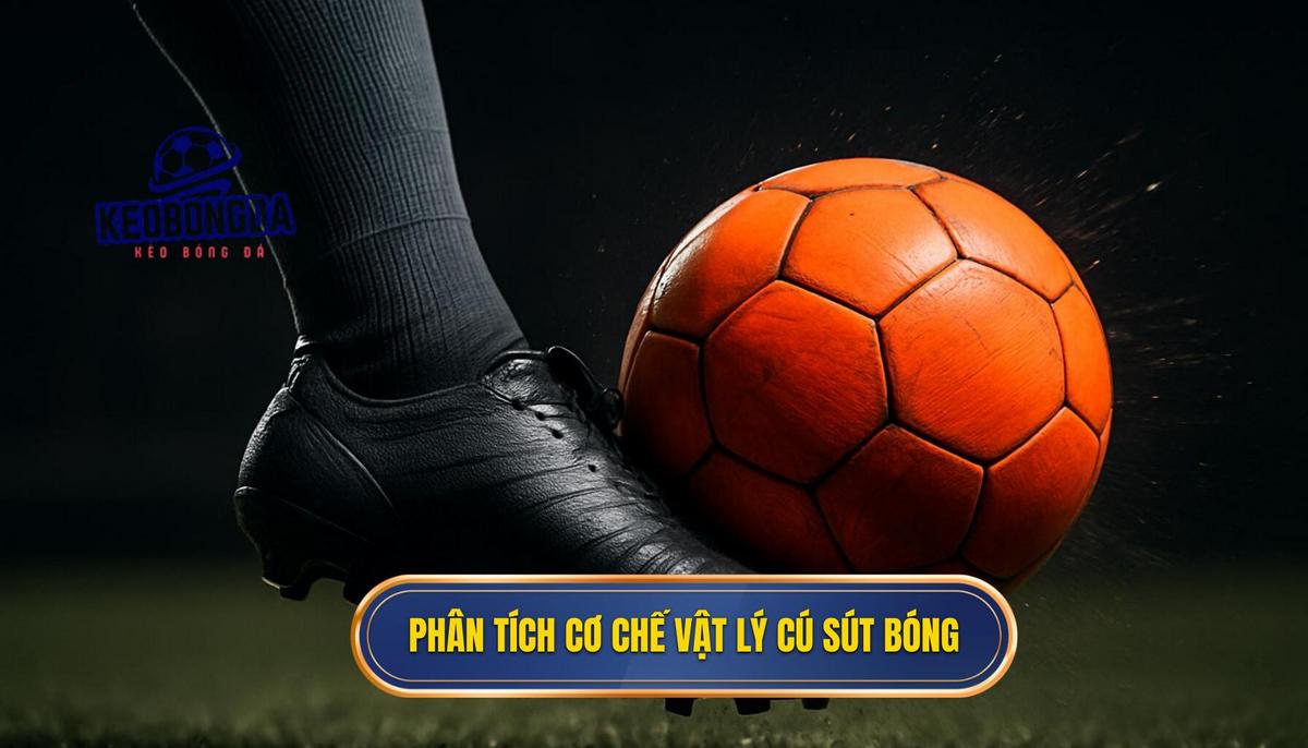 Kỹ thuật sút bóng bằng má ngoài: Phân tích chuyên sâu từ sevensixproduction.com 1 Phân tích chuyên sâu về cơ chế vật lý của cú sút má ngoài