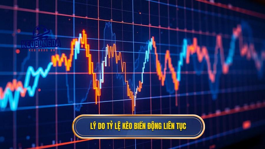 2. Lý do tỷ lệ kèo biến động liên tục