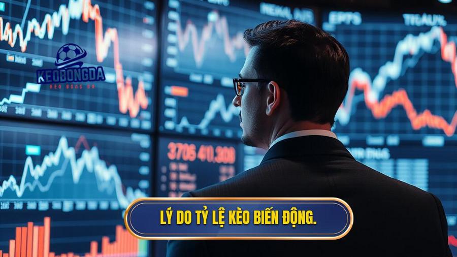 2. Lý do tỷ lệ kèo biến động.