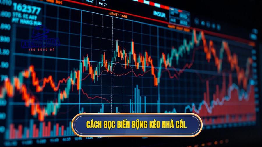 3. Cách đọc biến động kèo nhà cái.