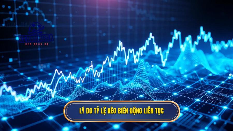 3. Lý do tỷ lệ kèo biến động liên tục