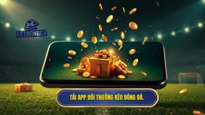 Tải app đổi thưởng KÈO BÓNG ĐÁ