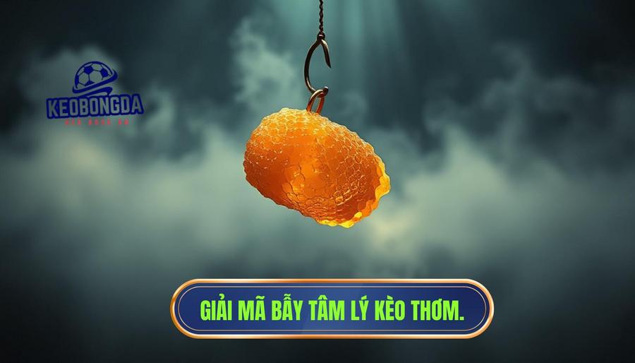 Khái niệm "Kèo thơm" và cái bẫy tâm lý ngọt ngào
