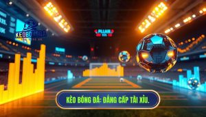 Tài xỉu trận này đang “mở” hay “đóng”? đọc sao cho chuẩn